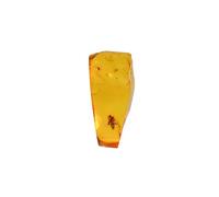 Baltic Amber with Fly Insect- Natural stone 2.4g