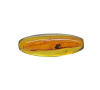 Baltic Amber with Fly Insect - Natural stone 6.80g
