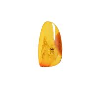 Baltic Amber with Fly - Natural stone 3.5g