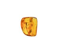 Baltic Amber with Flys Insect - Natural stones - 4.8g - Collector Item - Amber