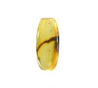 Baltic Amber with Moss Insect Natural stone - 2.8g