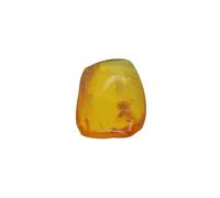 Baltic Amber with Spider Insect Natural stone - 1.5g