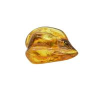 Baltic Amber with Spider Insect Natural stone - 29.2g