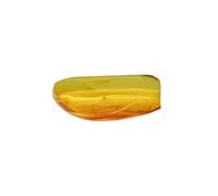 Baltic Amber with the Fly Insect Natural stone - 1.5g