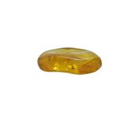 Baltic Amber with the Fly Insect Natural stone - 15.2g