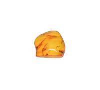 Baltic Amber with the Fly Insect Natural stone - 3.5g