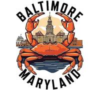 Baltimore Maryland D Souvenir Fridge Magnet 4-Inch