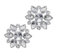 Baluue 1 Pair Water Drop Rhinestone Shoe Jewelry Buckle for High Heels and Sandals, Attachable Decorative Alloy and Copper Clips Suitable for Daily Life and Gatherings