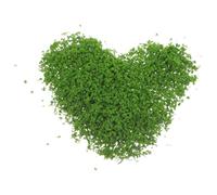 Baluue 3pcs DIY Sponge Tree Powder Green 60G for Bonsai Miniature Scene Material, Artificial Moss Grass Scatter for Garden Miniatures and Sand Table Decoration