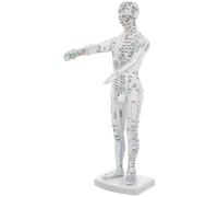 Baluue Human Acupuncture Model with Identification Male Full Body Acupoint Training Mannequin Plastic Massage Display Model for Acupuncture Training and Classroom Use