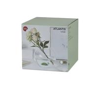Balvi Atlantis Turtle Vase
