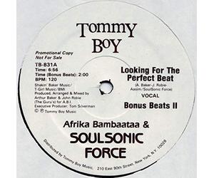Bambaataa Afrika - Looking for the Perfect Beat R [12" VINYL]