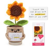 Bambebe Handmade Positive Sunflower Potato Doll Crochet Plant - Appreciation Thank You for Being an Important Part Gift for Coworker, Friend, Teacher - Mothers Day, Christmas, Birthday Gift Women