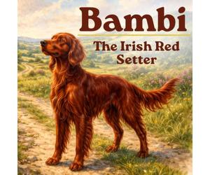 Bambi: The Irish Red Setter: A Heartwarming Children's Story