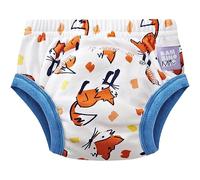 Bambino Mio, Reusable Potty Training Pants for Boys and Girls, 2-3 Years, Fuzz