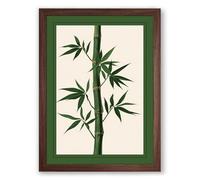 Bamboo Ascendant Botanical Framed Wall Art Print A3 (42×29.7cm) Walnut, Wall Decor for Living Room, Bedroom, Office & Home, Ready to Hang, Art Gift