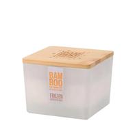 BAMBOO - Candle Centrepiece Candle Frozen Woodland Walk 320g for Men and Women