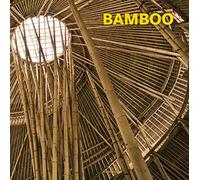 Bamboo (Contemporary Architecture & Interiors)