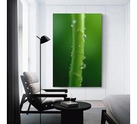 Bamboo Dew Drops Artistic Wall Art Painting The Picture of Animal Print On Canvas Artwork Pictures For Home Living Room Modern Decor Decoration 08x12inch(20x30cm)