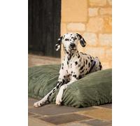 Bamboo Drying Cushion Cover Lords & Labradors Green L