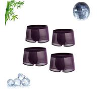 Bamboo Fibre Boxer Shorts - for All-Day Comfort, Mesh Breathable Sports Underwear, Mens 4Pcs Bamboo Boxer Shorts (4 pcs Wine,L)