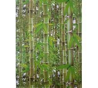Bamboo Forest Wallpaper 3D Effect Jungle Tropical Trees Green 10m Roll | With realistic detail, ideal for a contemporary feature wall in a bedroom, dining room or living room, 26.5cm offset match