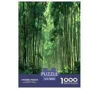 bamboo grove Jigsaw Puzzles Puzzles for Adults Kids. 1000 Piece Environmental healing Great Gifts Challenge Toy Educational Games Home Decoration for Educational Games Gifts 38x26cm/1000pcs