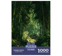 bamboo grove Jigsaw Puzzles Puzzles for Adults Kids. 1000 Piece Environmental healing Impossible Challenge Toy Educational Games Home Decoration for Adults& Kids Age 14 Years Up 38x26cm/1000pcs