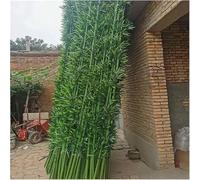 Bamboo Outdoor Privacy Screen Large Artificial Plants Trees, 3ft 4ft 5ft 6ft 6. Tall, Fake Plant With Leaves(10 Pack,2m/6.5ft Tall)
