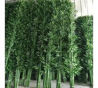 Bamboo Plant Artificial Tree, Privacy Fence Artificial Trees Outdoors, Fake Tree Decorative Bamboo Plastic, Tall Artificial Garden Plants for Home, Patio, Balcony, Garden(90 pieces,2m)