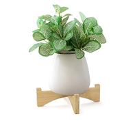 Bamboo Plant Stand Indoor Outdoor, Wooden Flower Pot Stand Fit 6 Inch Pots, Modern Planter Stand, Single Plant Holder Riser Rack Shelf for Patio Home (17.5*5cm)