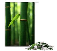 Bamboo Shoots after Rain 1000 Piece Jigsaw Puzzles for Adults Jigsaw for Gifts Best Gift Suitable for And Teenager 14 And Up 1000 PCS(75x50cm)