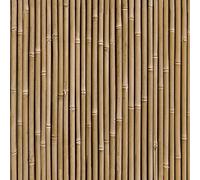 Bamboo Thick Wall Natural Dark Brown Wallpaper - Paste The Wall Modern Contemporary Earthy Realistic Organic
