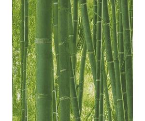 Bamboo Wall Green Wallpaper - Realistic Jungle Stylish Modern Contemporary - Trendy Feature Wall