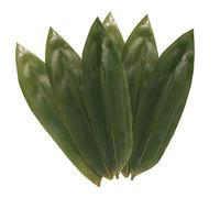 BambooMN Bamboo Leaves for Cooking Zongzi, Banana Leaf Alternative, Grilling/Barbeque, Natural Boiling Bags - 12.25 x 3.5 Inches - 100 pack