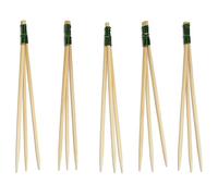 BambooMN - Bamboo Trident Picks - Green Wire - for Catered Events, Holidays, Restaurants or Party Supplies - 3.5" - 100 Pieces