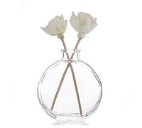 Bamboopack 150ml/5oz Empty Glass Diffuser Bottle Diffuser Jars Aromatherapy Storage Container Fragrance Accessories Use Clear