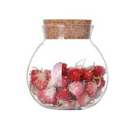 Bamboopack 1PC 500ml/17oz Round Clear Glass Favor Jar Food Storage Container with Cork Stopper for Spice Food Snack Flower Tea Candy Seasoning and More