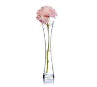 Bamboopack Hand-Made Blown Art Bud Glass Vase for Flower and Office Bud Home Wedding Decor,Transparent,20cm