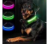 Bamda LED Light Up Dog Collar for Medium Dogs, Hi-Vis Glow Collar, Green | 20+hr Long-Lasting, Ultra-bright, 3 Flashing Modes, IPX7 Waterproof, Adjustable, USB-C Rechargeable, Safety & Durable