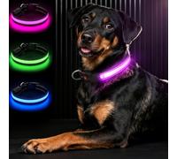 Bamda LED Light Up Dog Collar for Medium Dogs, Hi-Vis Glow Collar, Pink | 20+hr Long-Lasting, Ultra-bright, 3 Flashing Modes, IPX7 Waterproof, Adjustable, USB-C Rechargeable, Safety & Durable