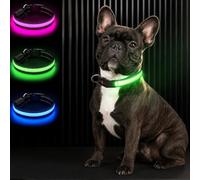 Bamda LED Light Up Dog Collar for Small Dogs, Hi-Vis Glow Collar, Green | 20+hr Long-Lasting, Ultra-bright, 3 Flashing Modes, IPX7 Waterproof, Adjustable, USB-C Rechargeable, Safety & Durable