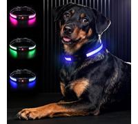 Bamda Light Up Dog Collar, Long-Lasting Power & LED Dog Collar Rechargeable, Waterproof & Safety Flashing Dog Collars for Dark, Adjustable Led Collars for Small Dogs [Blue-S]