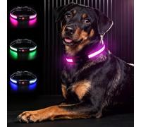 Bamda Light Up Dog Collar, Long-Lasting Power & LED Dog Collar Rechargeable, Waterproof & Safety Flashing Dog Collars for Dark, Adjustable Led Collars for Medium Dogs [Pink-M]