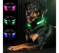 Bamda Light Up Dog Collar, Long-Lasting Power & LED Dog Collar Rechargeable, Waterproof & Safety Flashing Dog Collars for Dark, Adjustable Led Collars for Large Dogs [Green-L]