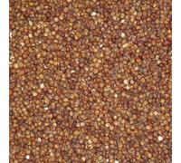 Bamfords Top Flight Red Dari 20kg - Racing Pigeon Food/Fishing Bait