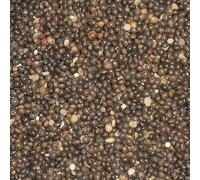 Bamfords Top Flight Tares 20kg - Racing Pigeon Food/Fishing Bait