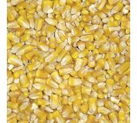 Bamfords Whole Maize/American Chicken Feed, 20kg - Premium Quality Yellow Maizes