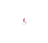 Bamix Prime Red 250W Hand Blender
