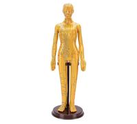 Bamjour Acupuncture Model, Full Body Human Acupoint Model with Accurate Markings and 360 Rotatable Arms, with Reinforced Non Slip Stand, for Teaching Student Demonstration (Female)